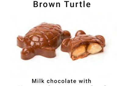 Brown Turtle